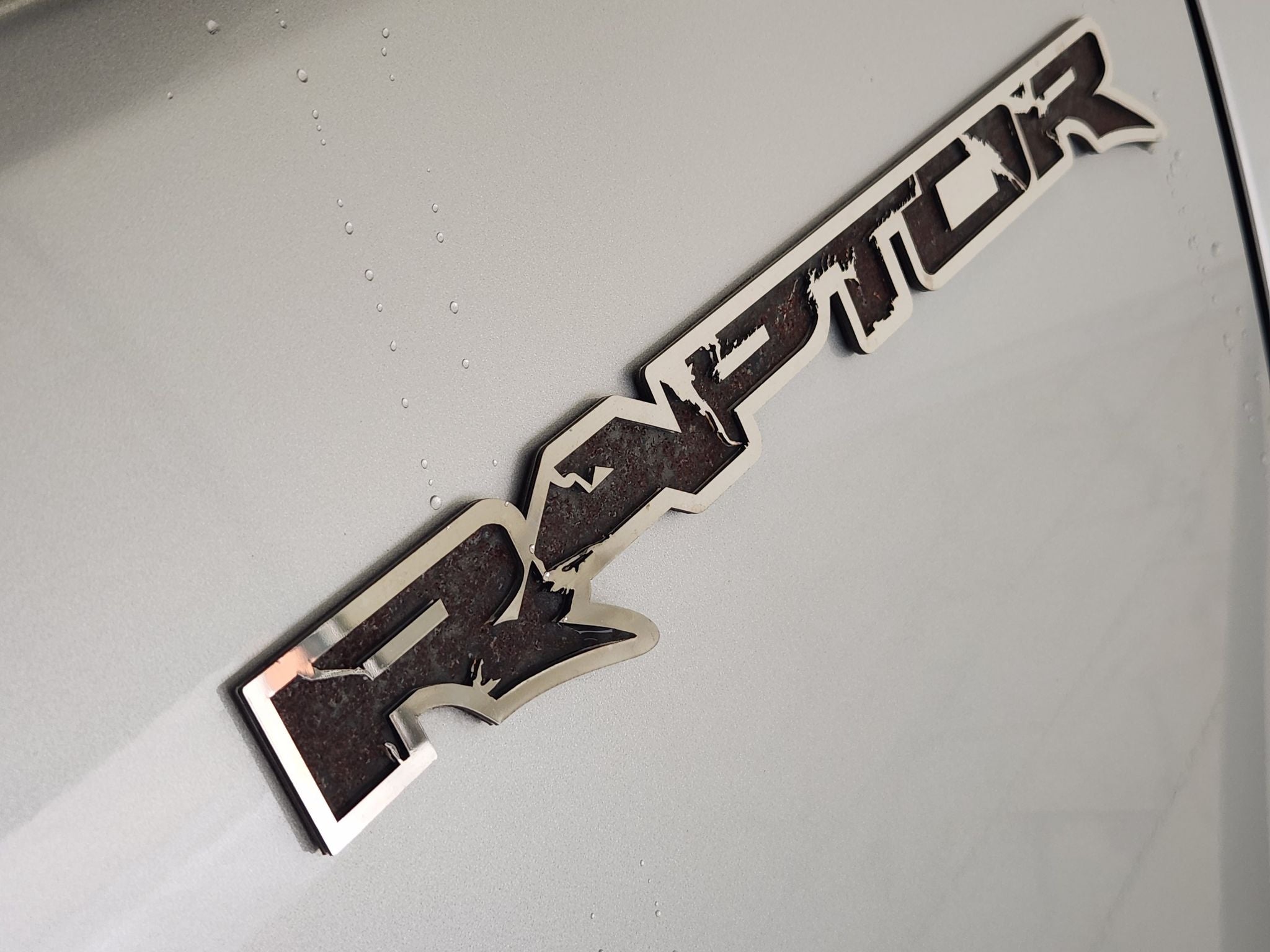 2017 Ford F-150 Raptor — photo 11