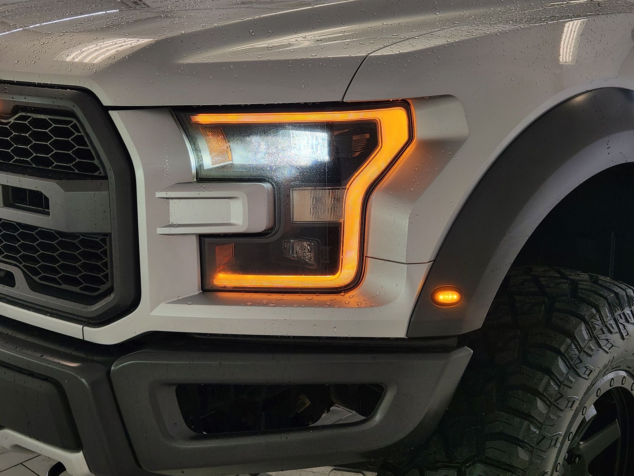2017 Ford F-150 Raptor — photo 9