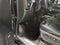 2021 Chevrolet Silverado 2500 HD High Country